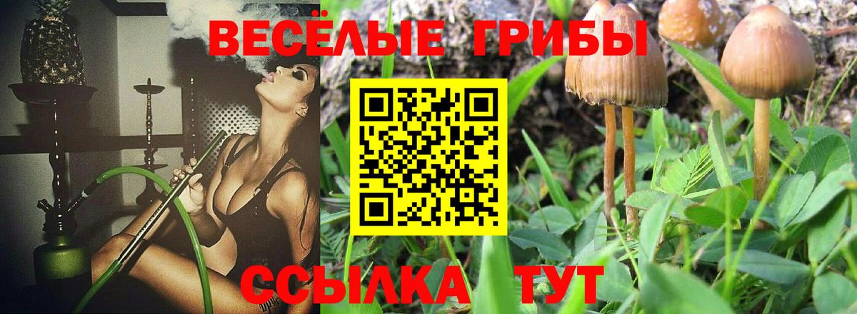 Псилоцибиновые грибы Magic Shrooms Каменка