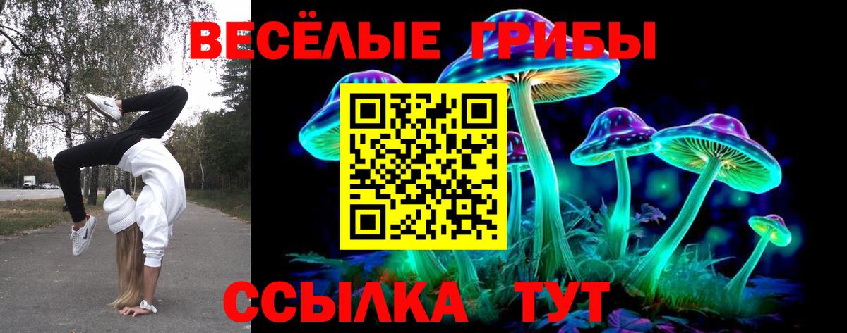 Каменка  Псилоцибиновые грибы прущие грибы  Вход с VPN 